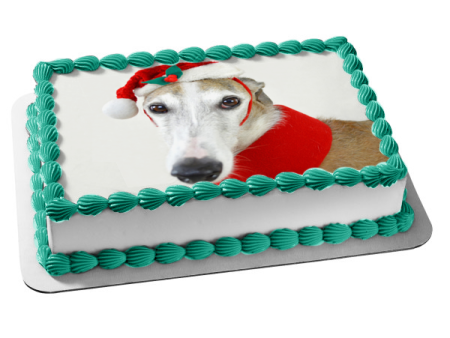 Holiday Spirit Hound Edible Cake Topper Image ABPID50458 Online