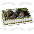 The Walking Dead Daryl Dixon Judith Edible Cake Topper Image ABPID27279 Online Sale