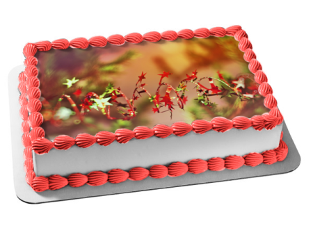 Christmas Red Star Ribbon Edible Cake Topper Image ABPID50591 Online