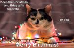 Christmas Lights Cat Merry Birthmas Edible Cake Topper Image ABPID50467 Hot on Sale