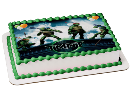 Teenage Mutant Ninja Turtles Donatello Michaelangelo Leonardo Raphael Tmnt Weapons Party Balloons Edible Cake Topper Image ABPID27816 Supply