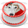 Holiday Spirit Hound Edible Cake Topper Image ABPID50458 Online