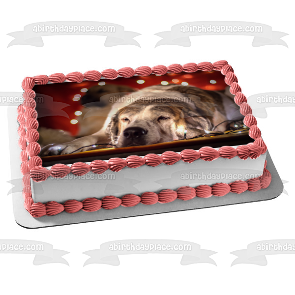 Sleepy Christmas Lights Dog Edible Cake Topper Image ABPID50469 For Sale