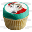 Holiday Spirit Hound Edible Cake Topper Image ABPID50458 Online