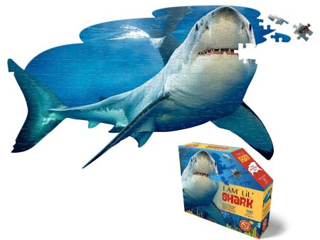 I am Lil Shark Sale