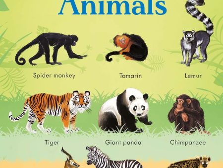 199 Zoo Animals Supply