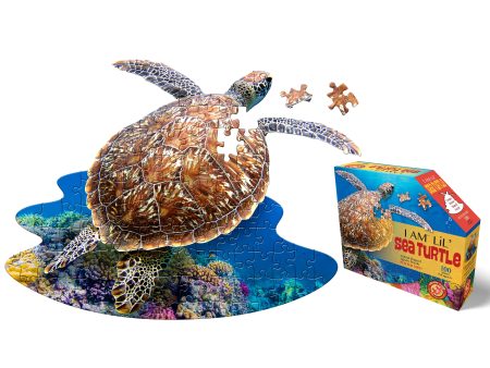 I am Lil Sea Turtle Sale