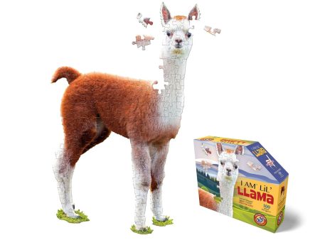 I am Lil Llama Fashion