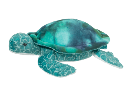 Coast Turtle Online Sale