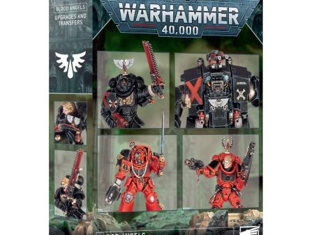 Blood Angels - Upgrade and Transfers Online now