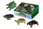 Turtle Squishimals Online Hot Sale