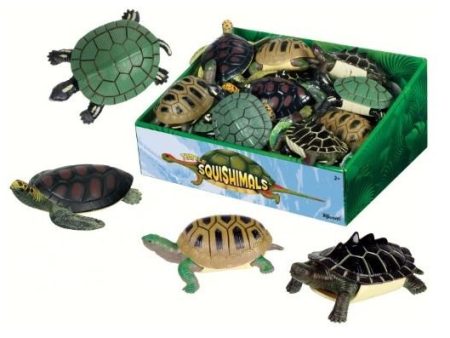 Turtle Squishimals Online Hot Sale